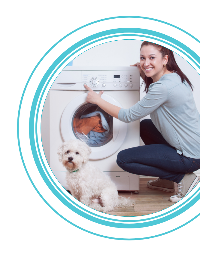 dogflu prevention lady washing clothes